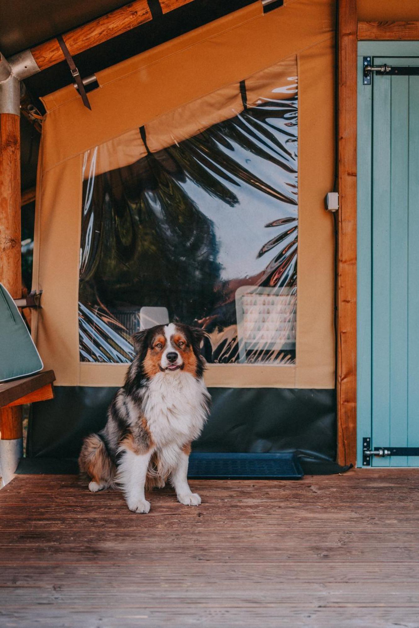 Отель Rendes Glamping Balatonrendes Экстерьер фото